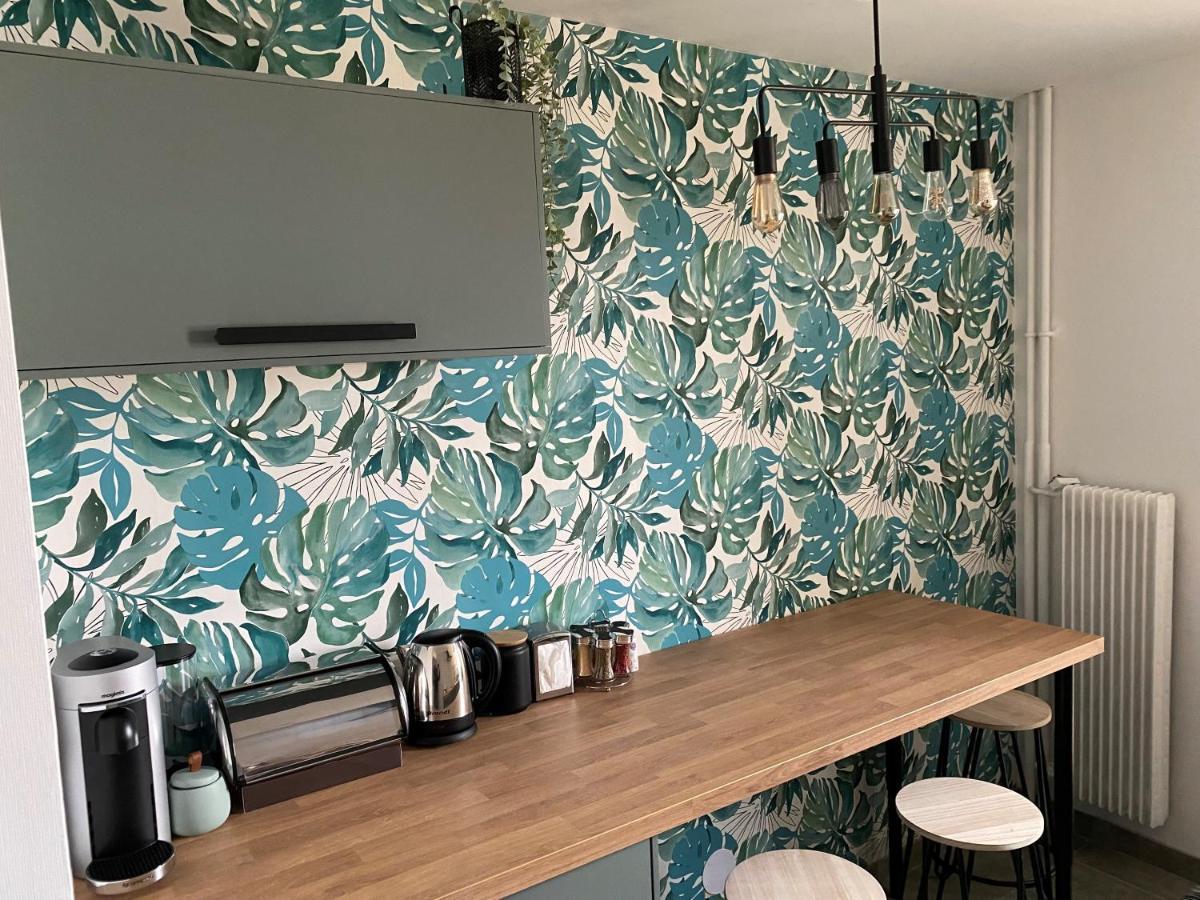 Magnifique Appartement Au Coeur De Mulhouse Dış mekan fotoğraf
